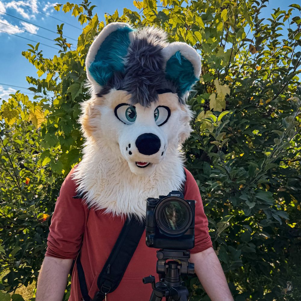 Fletchel in an apple orchard, taking a picture of the camera.