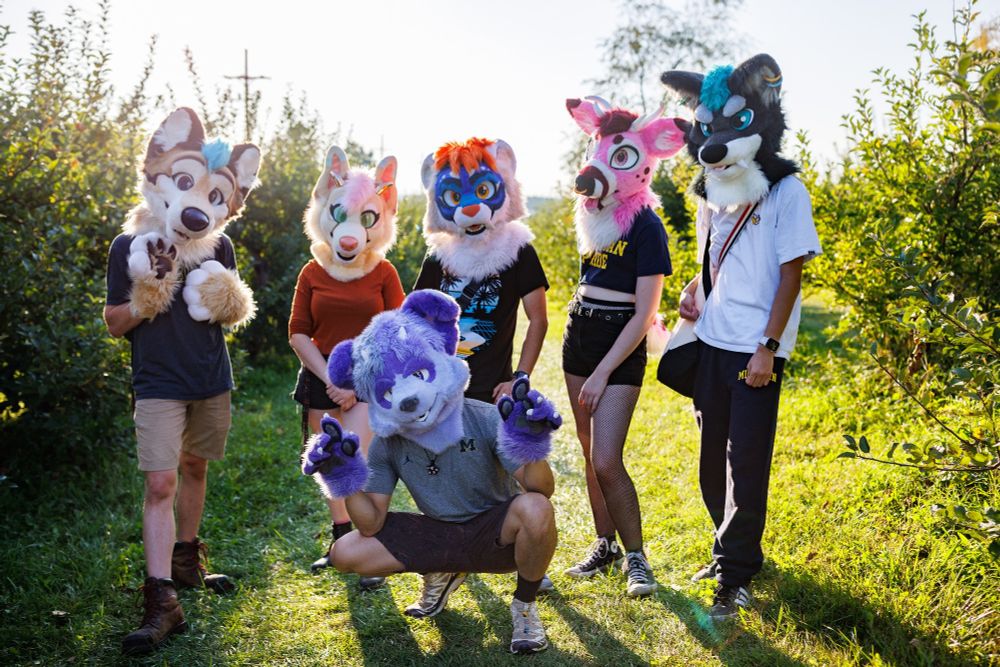 Group of furries in a field. From left to right, Minho, Fern, Takio, Tavi the deer (me), and Rix. In front is Luckii