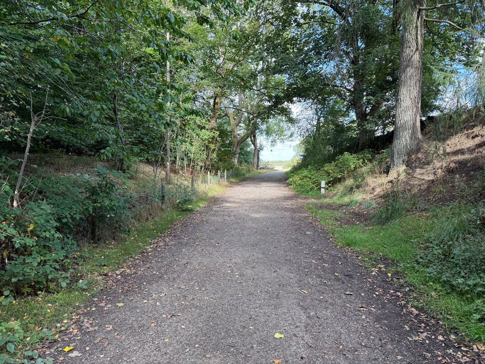 The Fernilee old railway trail, mostly about 3 metres wide: considerably wider than the actual High Peak Trail the old railway route becomes further into the Peak!