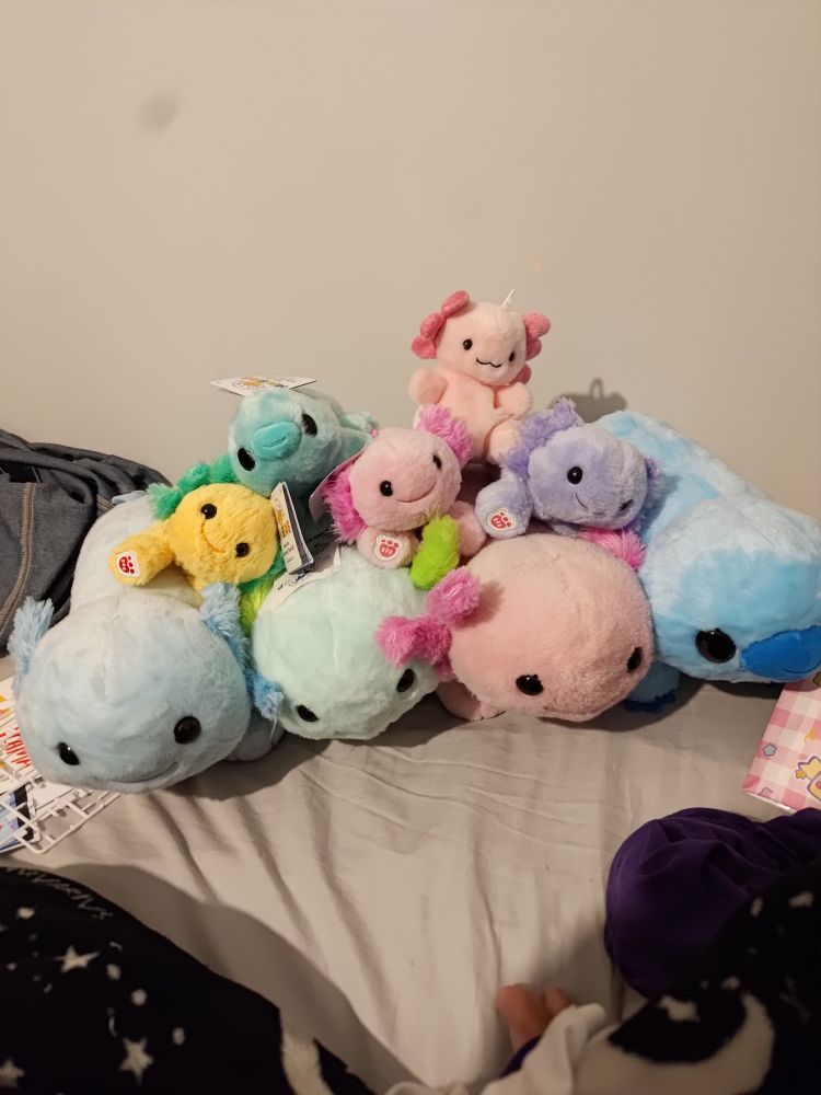 A pyramid of build a bear plushes.
The bottom layer: Slurpee (Build a Bear Ice blue axolotl), egg (colour block Build a Bear axolotl), Pyjamas (pink Build a Bear axolotl, unnamed blue Build a Bear tardigrade.
Second layer. 
Bapple (pineapple mini Build a Bear  axolotl), Jammies (pink mini Build a Bear axolotl), Ourple (purple mini Build a Bear axolotl)
Top layer: mini mint Build a Bear tardigrade, Jimjams (pink animal pal axolotl)
