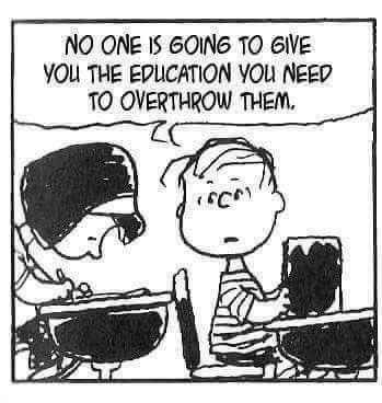 A Peanuts comic. Linus turns to a girl sitting behind him in class and says, “No one is going to give you the education you need to overthrow them.”