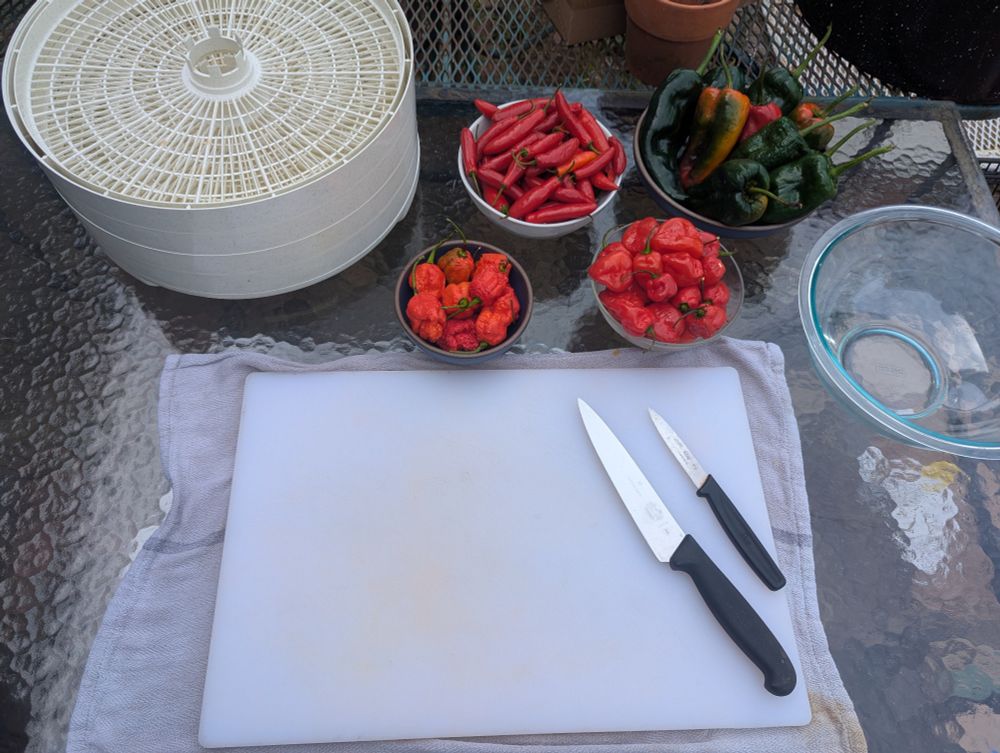 Glass table on a patio with a white cutting board, 2 knives, a glass bowl, 4 bowls of peppers (serrano, poblano, habanero, and apocalypse scorpion clockwise from top left), and a dehydrator to the side.