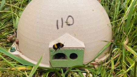 A Beebox in the field, with a bee flying towards the entrance