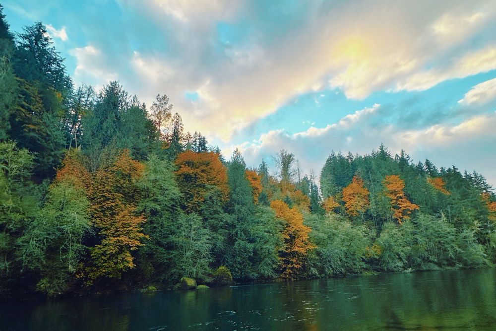 photo taken while on a hike in washington