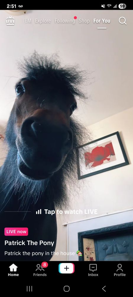 A Tiktok live by "Patrick the pony"