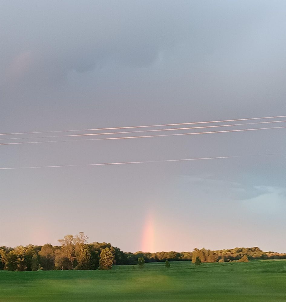 A grainy photo of a rainbow behind a field and some distant trees taken from a car window