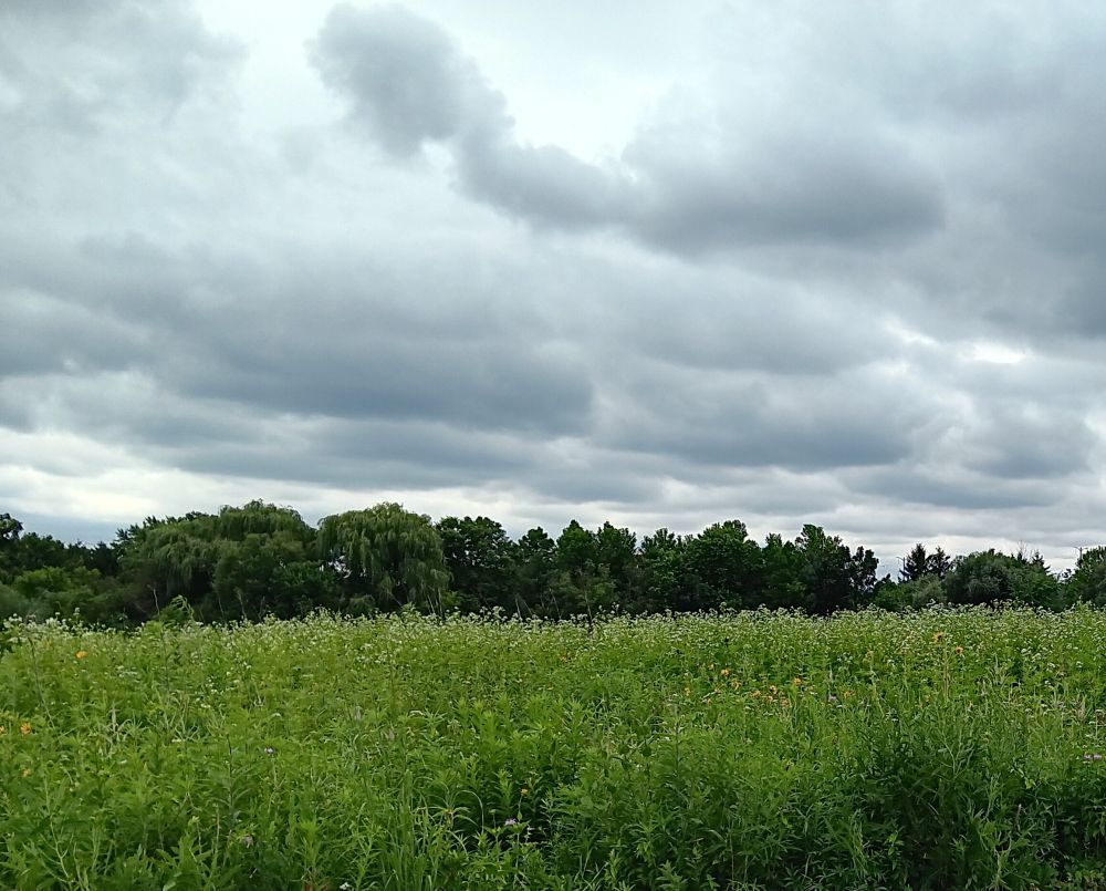 Stormy clouds over a prairie 