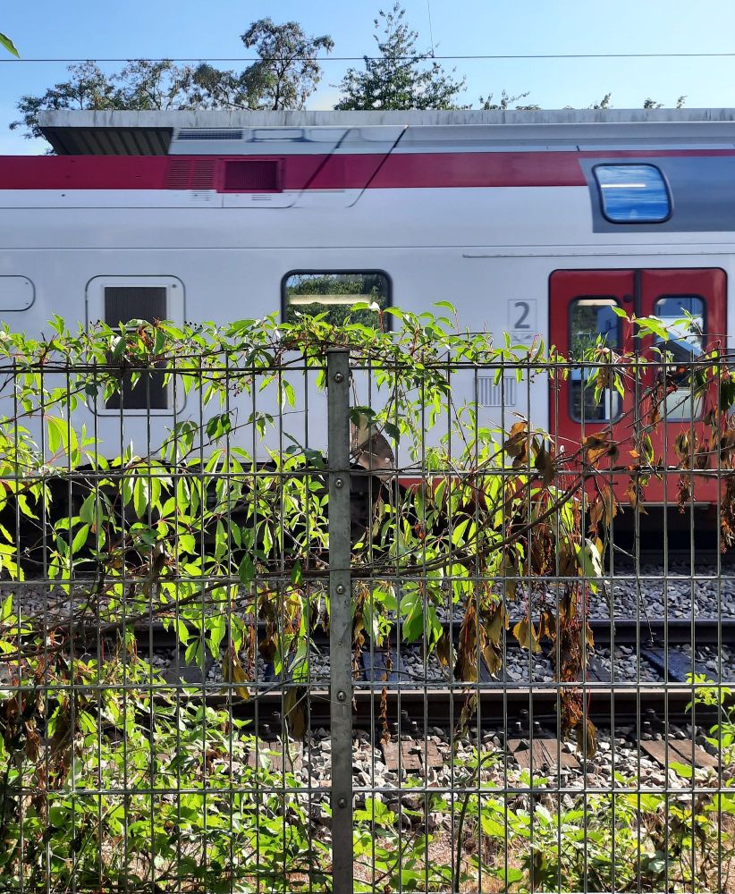 View of a passenger train