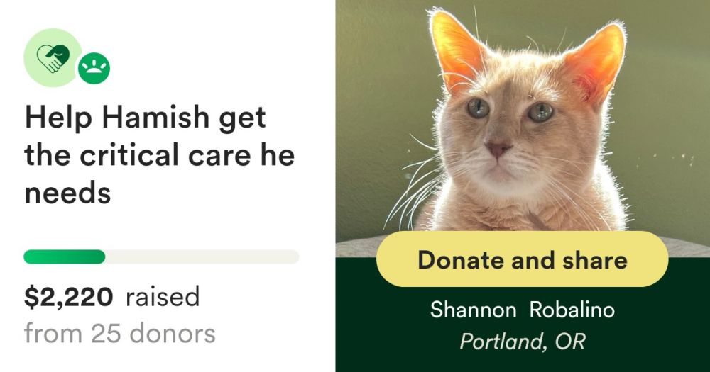 Donate to Help Hamish get the critical care he needs, organized by Shannon  Robalino