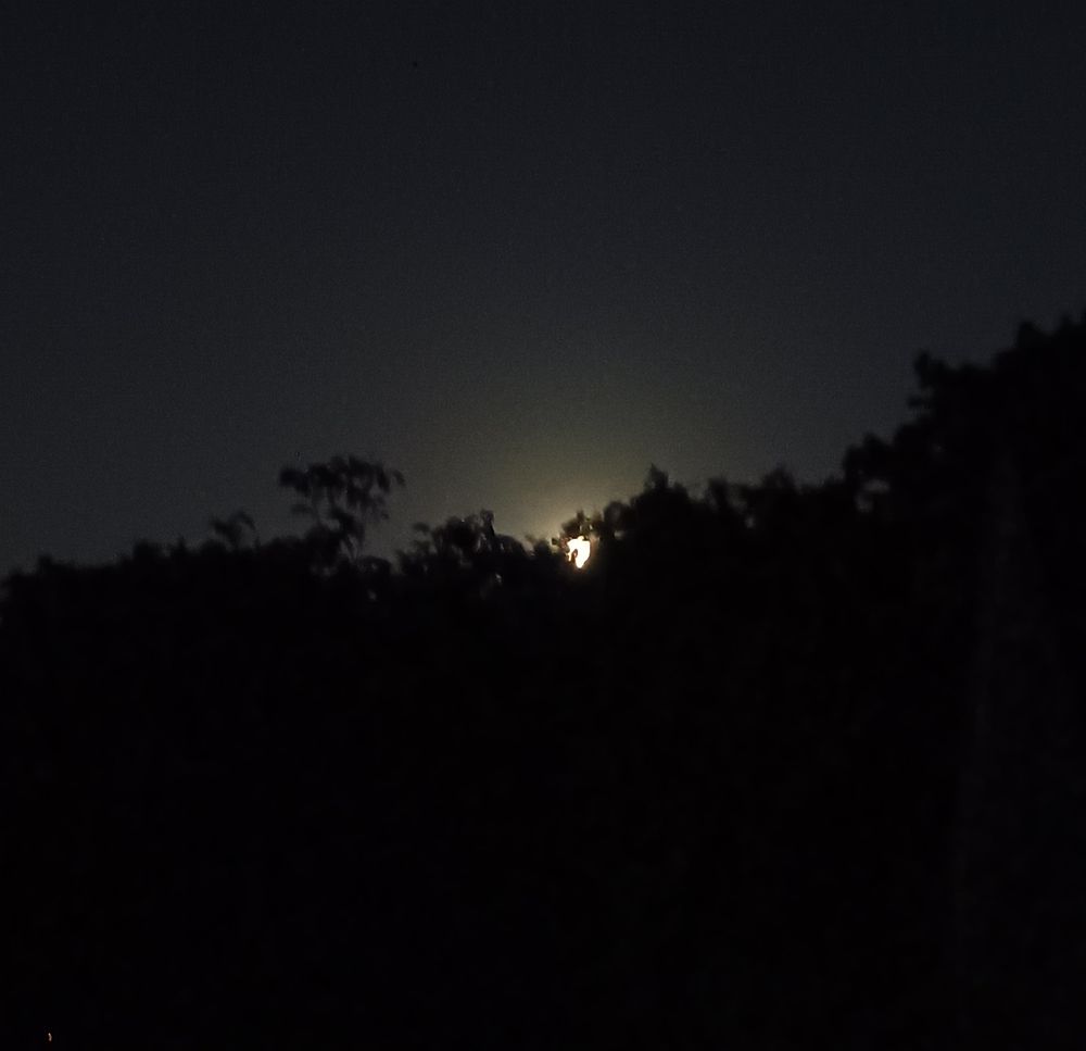 Tiefschwarze Silhouette eines Waldes. Etwas hellerer, wolkenloser Nachthimmel. Hinter den Baumwipfeln lugt schüchtern der helle Mond hervor und erleuchtet den Himmel. 
Einen lieben Gruß an den Menschen, der das hört. 