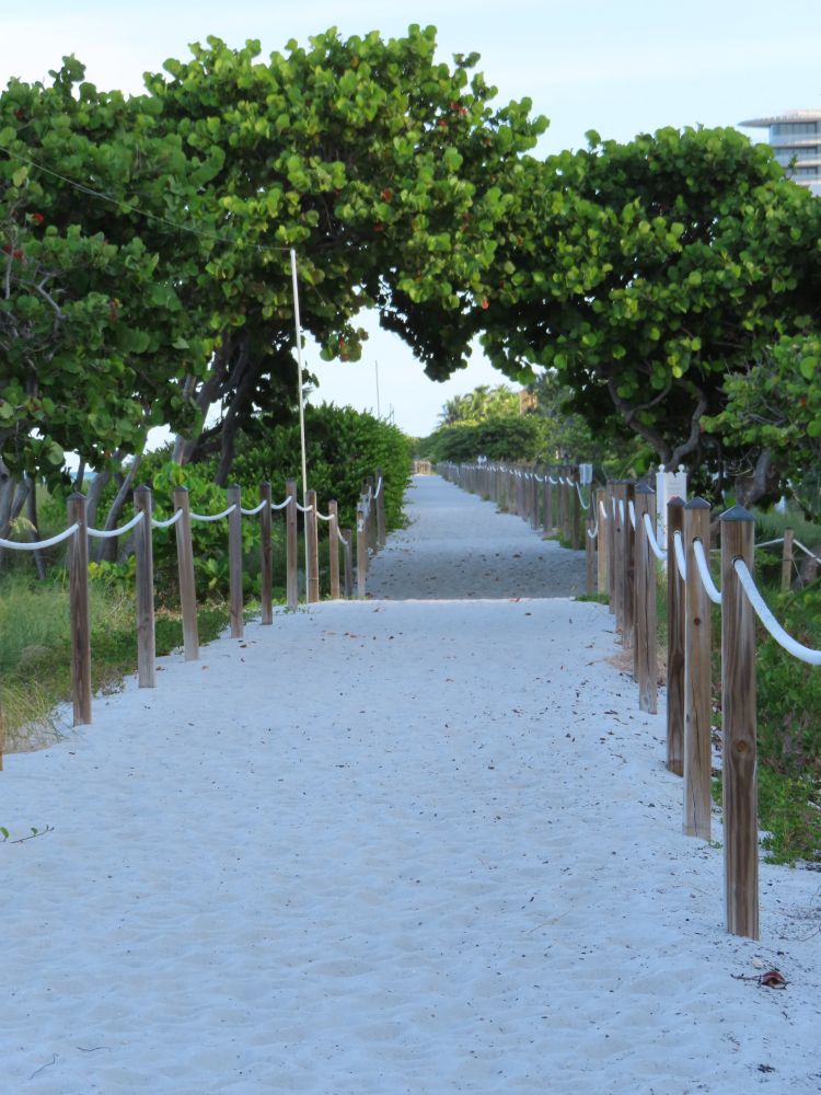 A white sandy path lined with wood posts and rope, lead to two trees reaching over the path that kinda form a heart