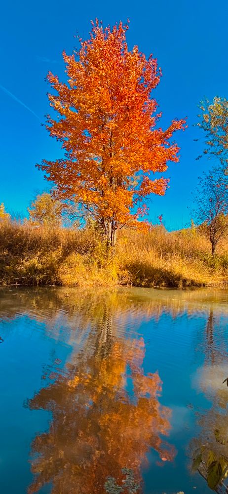 Not sure if this years fall colors will come out as vivid as the previous fall seasons since we’re in a 3 month drought.  