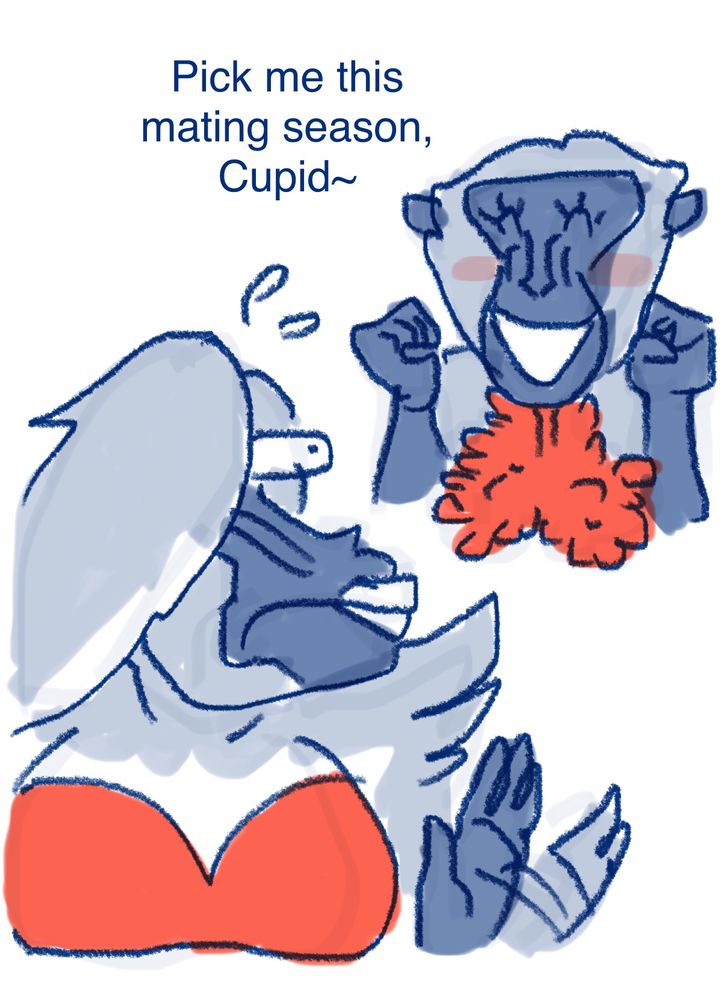 A female gelada enticing Cupid to be her mate, showcasing her prominent chest swellings. Cupid looks disgusted and shoos her away.