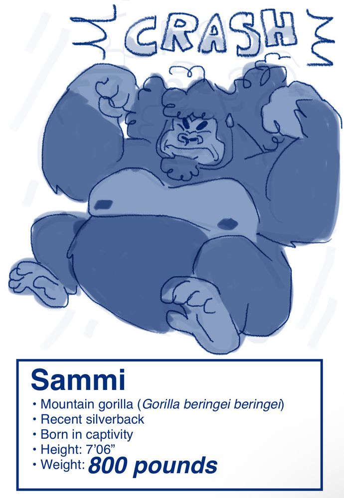 Sammi (portrayed as a mountain gorilla) bursts into the room.