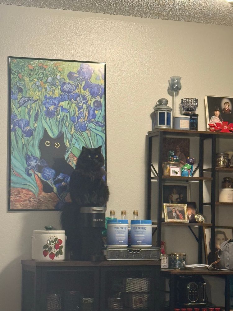 A black cat sits on top of a Keurig coffee machine. In the background is artwork featuring a black cat in flowers 
