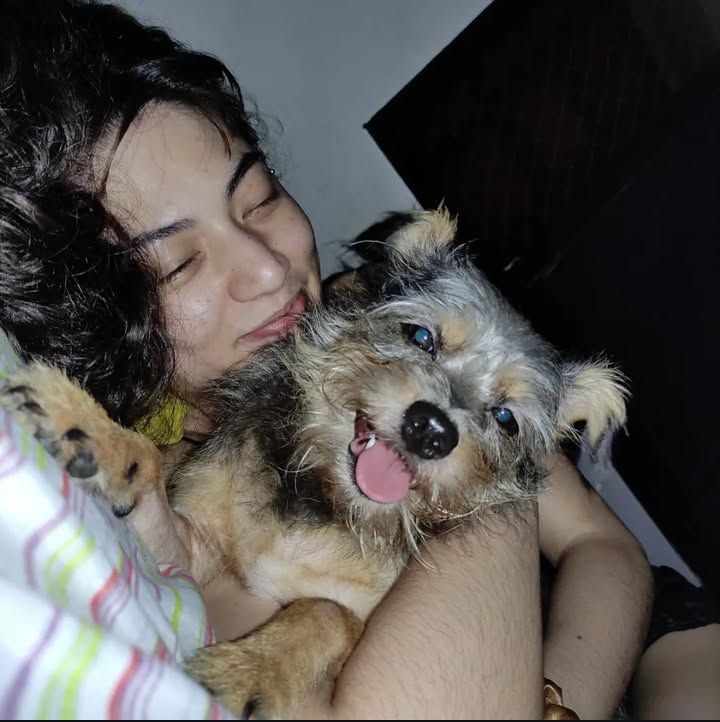 Foto semelhante a anterior, mas agora a cã está de olhos abertos e mostrando mais a língua, fazendo um "blepão".