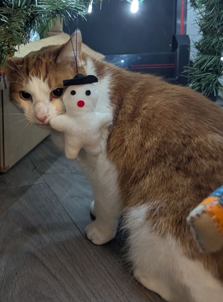 Cat under a Christmas tree with snowman  ornament. 