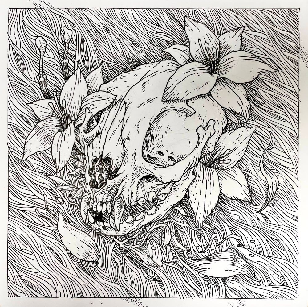 A pen and ink illustration of a cat skull framed by lily flowers against a wavy background 