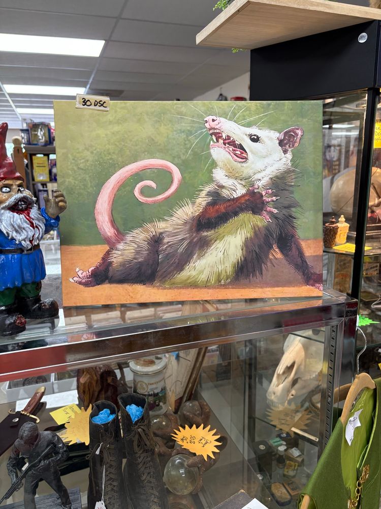 Painting of a possum striking a dramatic pose as though in a fainting couch