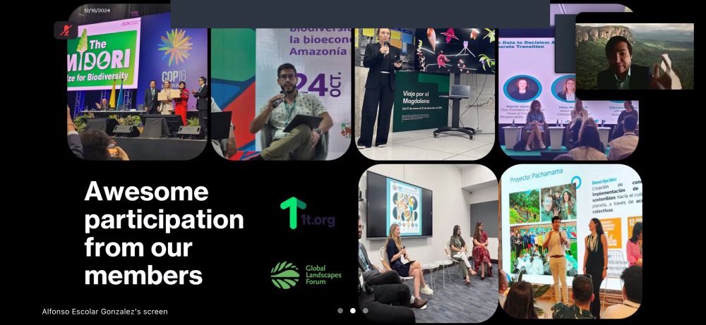 Six photos of youth hub members presenting at COP16, including Reserva's Callie Broaddus. 