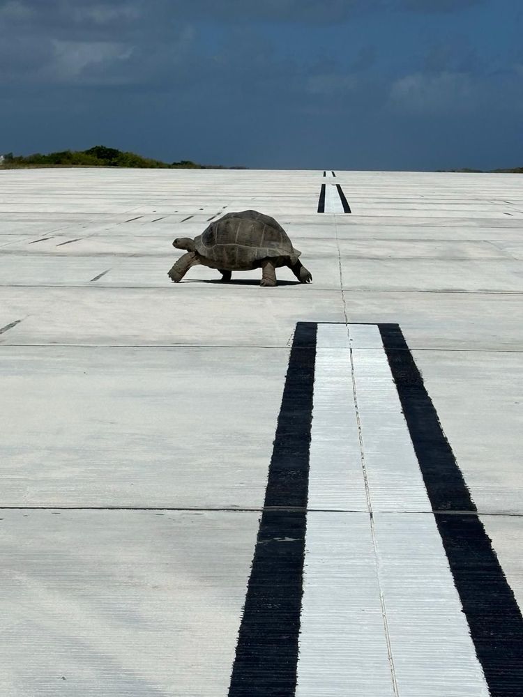 Photo: Celina Chien / Overstories for Friends of Aldabra