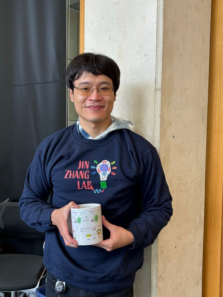 Qi wearing a navy sweater with the Jin Zhang Lab logo, and holding a mug highlighting his work on a PKC sensor and novel phase separation proteins.