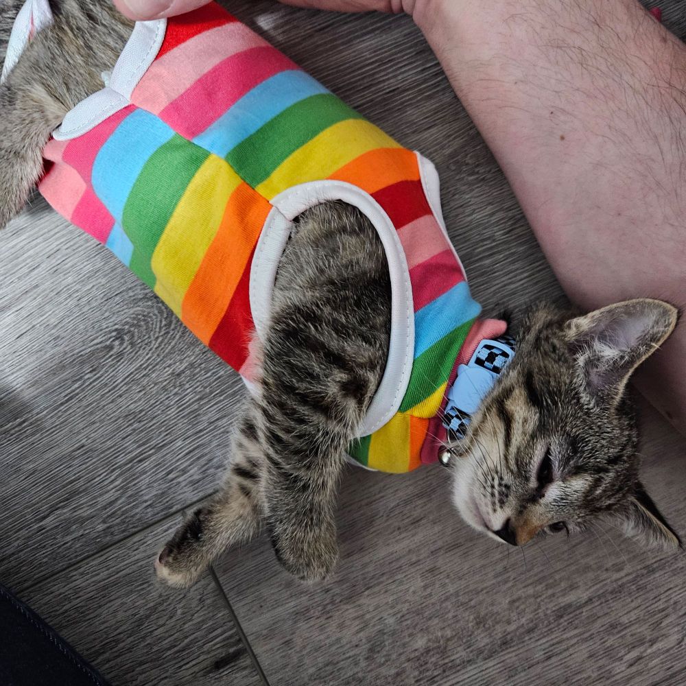 Marie with her surgery jumper