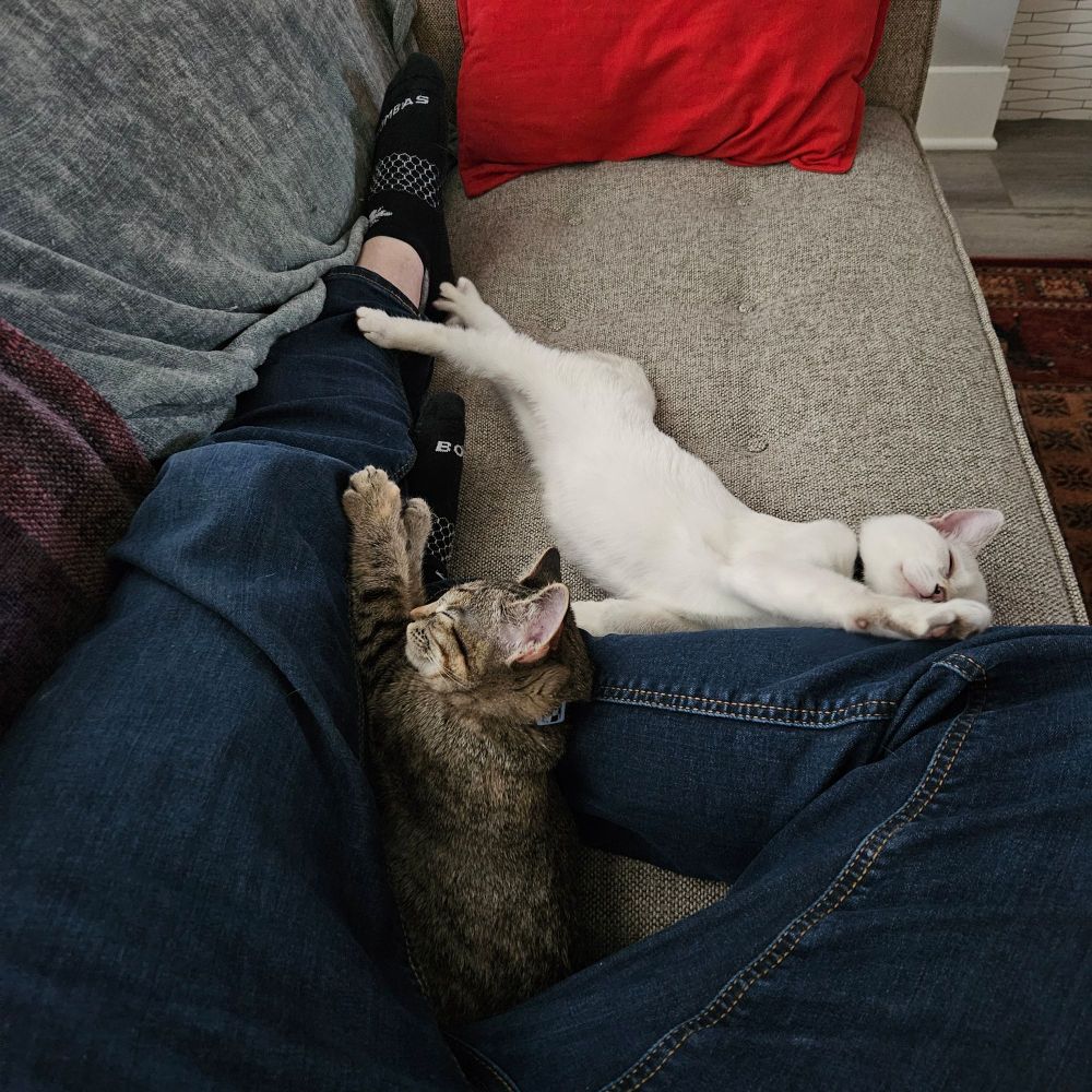 Andrea Marie and Laura Lee curled up while I watch TV