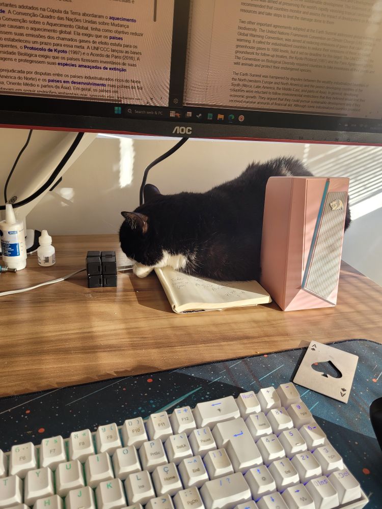 foto de uma gatinha frajola dormindo em cima de um caderno de anotações e encostada em um alto-falante for de rosa que, por sua vez, estão sobre uma mesa de trabalho. Acima dela aparece parte de um monitor com janelas de textos abertas e, mais para frente, um teclado branco com letras coloridas.