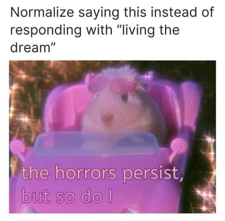 a photo of a hamster with sunglasses in a little pink car with the caption, "Normalize saying this instead of responding with 'living the dream': The horrors persist, but so do i."