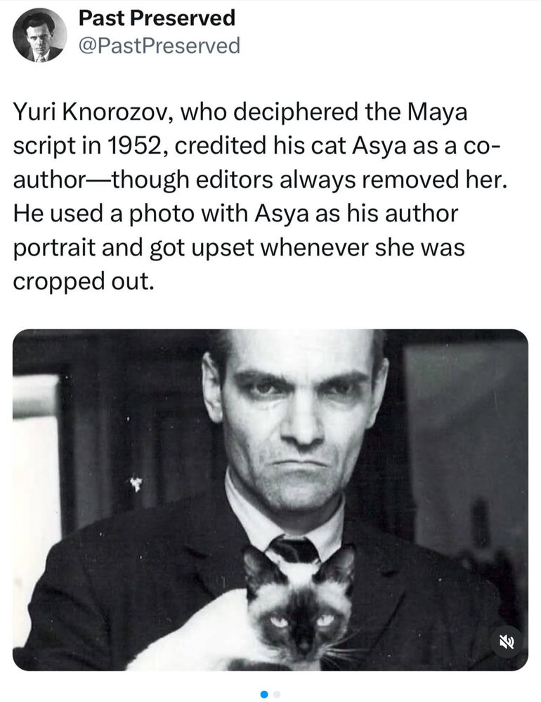 Yuri Knorozov, who deciphered the Maya cript in 1952, credited his cat Asya as a co-author—though editors always removed her. He used a photo with Asya as his author portrait and got upset whenever she was cropped out. 