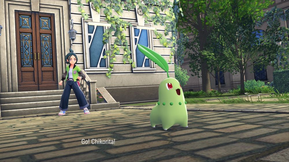 my character starting a pokemon battle with Chikorita. "Go! Chikorita!"

Chikorita is looking terrifyingly cute doing a battle yell in a stone courtyard.