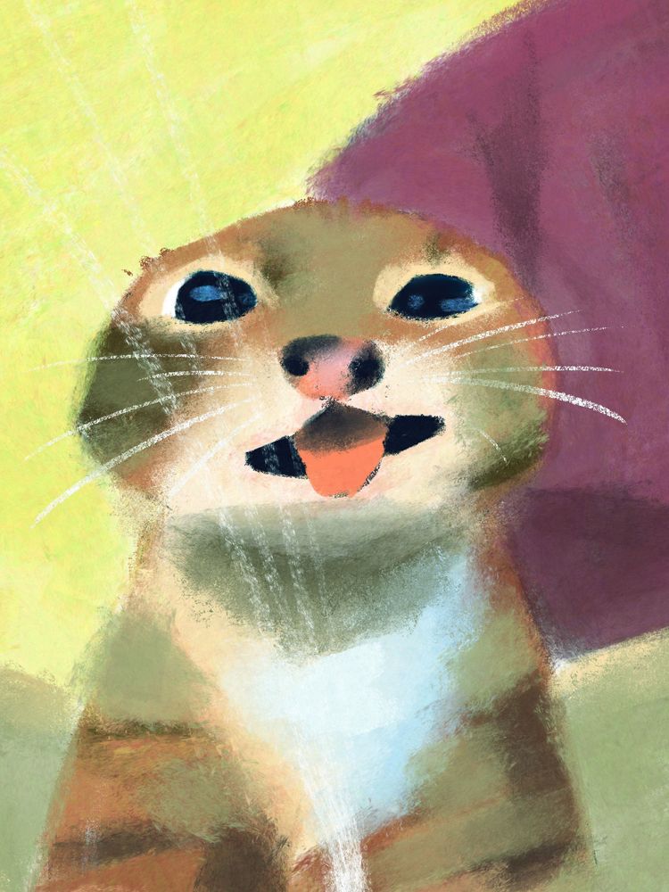 rigby the cat