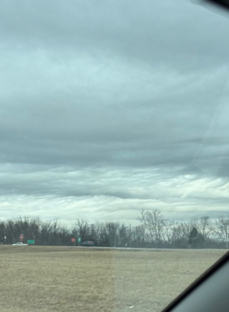 A shot from a car window of brown grass, a tree line, and stormy grey clouds that resemble mountain peaks