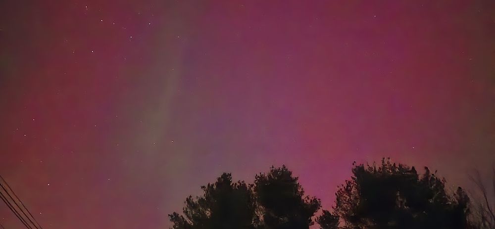 north facing aurora view, silhouetted trees and powerlines for context, some stars; mostly pink with some greenish stripes