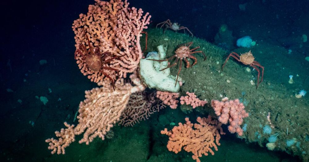 California moves closer to '30x30' conservation goals as threats to public lands loom