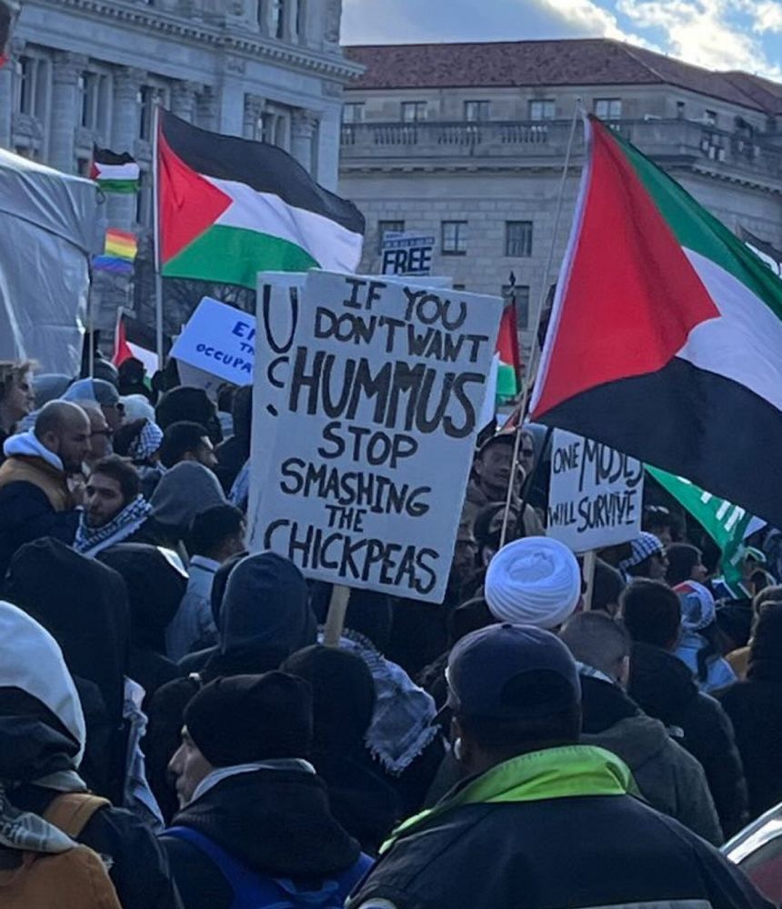 If you don’t want hummus stop smashing the chickpeas. A Protest sign at the March for Gazza in DC.