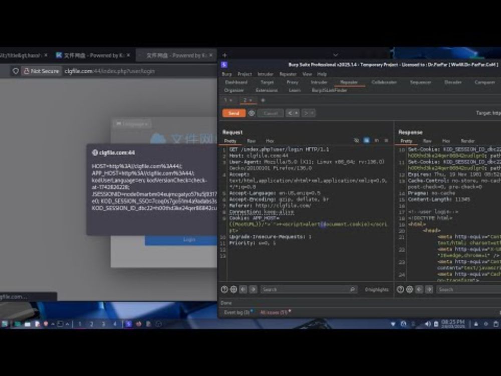 XSS Hunting with Burp Suite: A Practical Guide