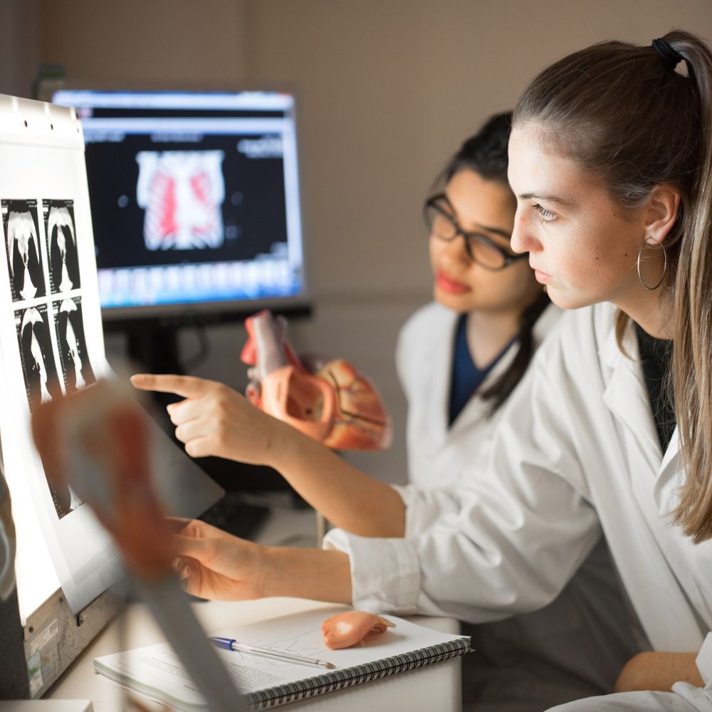 Photo of two researchers looking at scans.