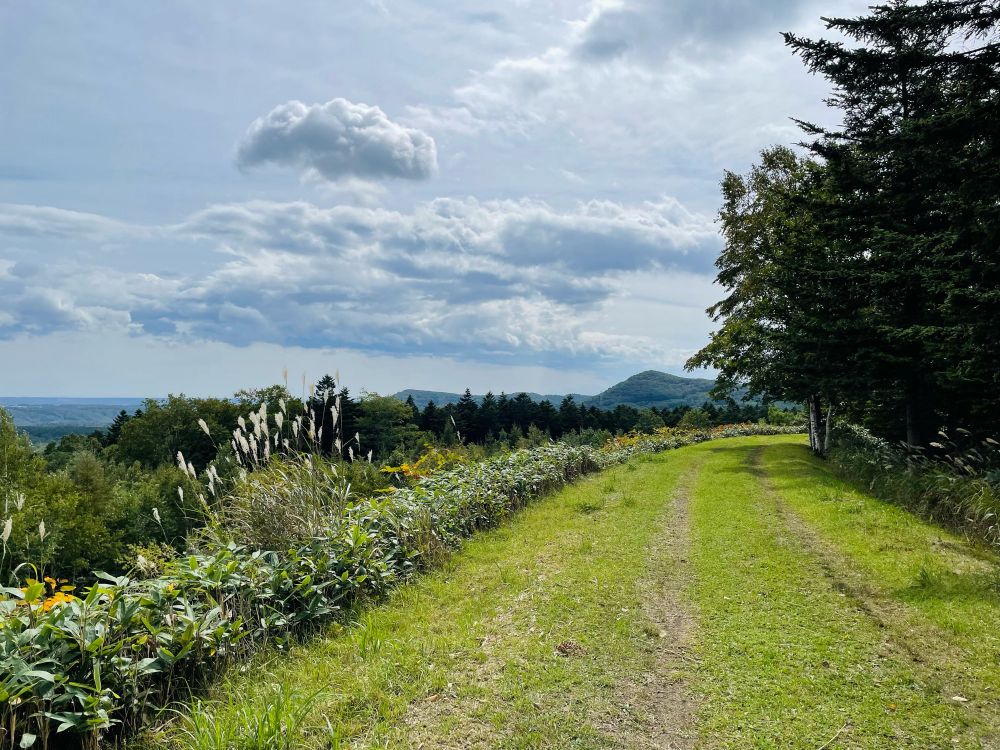サイクリング道
