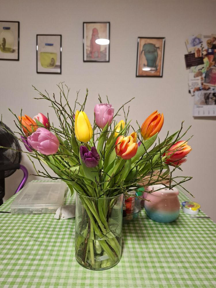 Ein wunderschöner bunter Tulpenstrauss auf einem Küchentisch. Dahinter die Wand mit Sachen von Zozoville und anderen. 