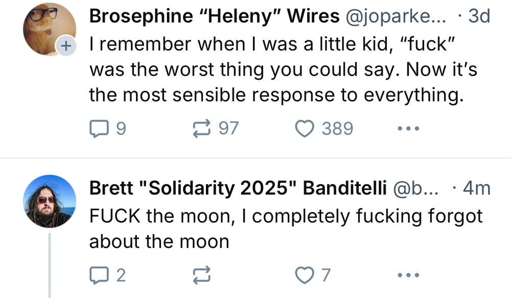 Two Bluesky posts. First, from Brosephine "Heleny" Wires: I remember when I was a little kid, fuck was the worst thing you could say. Now it's the most sensible response to everything.

Second from Brett "Solidarity 2025" Banditelli :  FUCK the moon, I completely fucking forgot about the moon 