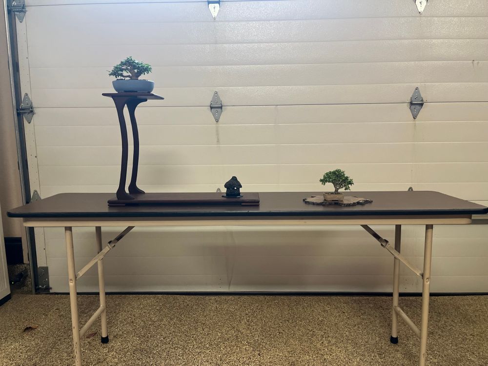 Warabi display stand with minis.