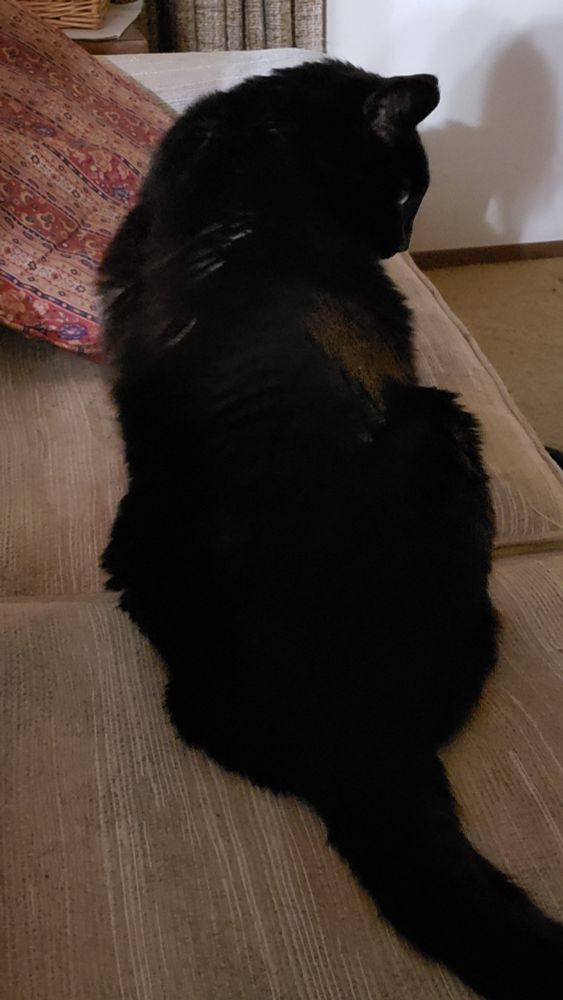 A pic of Ted from last night, looking a little stand-offish.