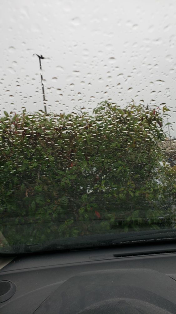 The rain falling onto my car's windshield.
