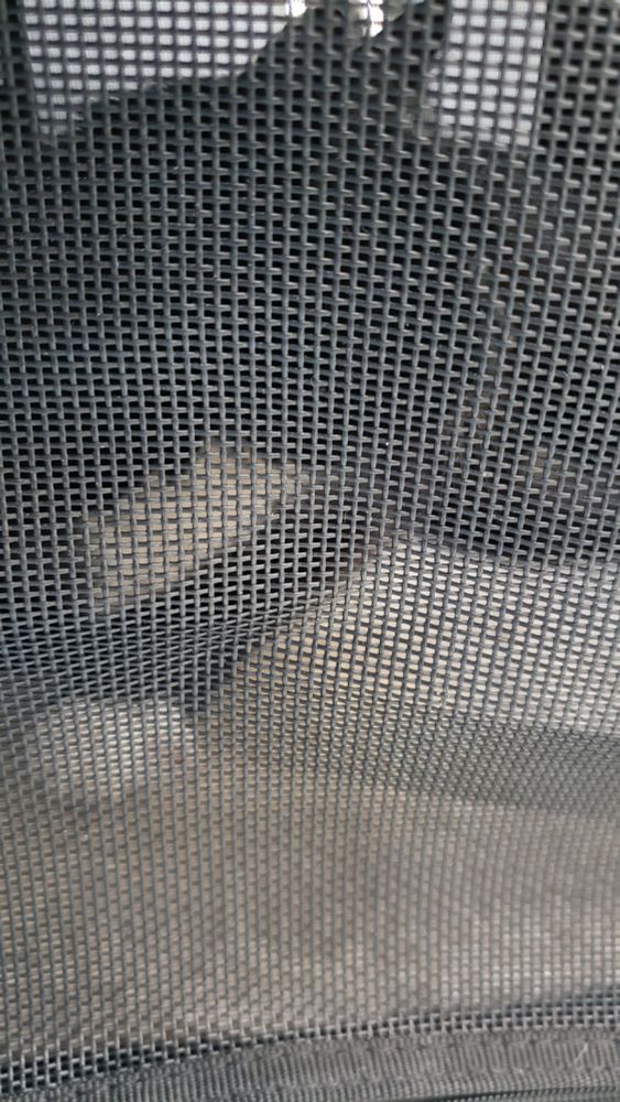 Ted, the frightened tuxedo cat in his carrier, worried about all the scary sounds and smells of the vet office.