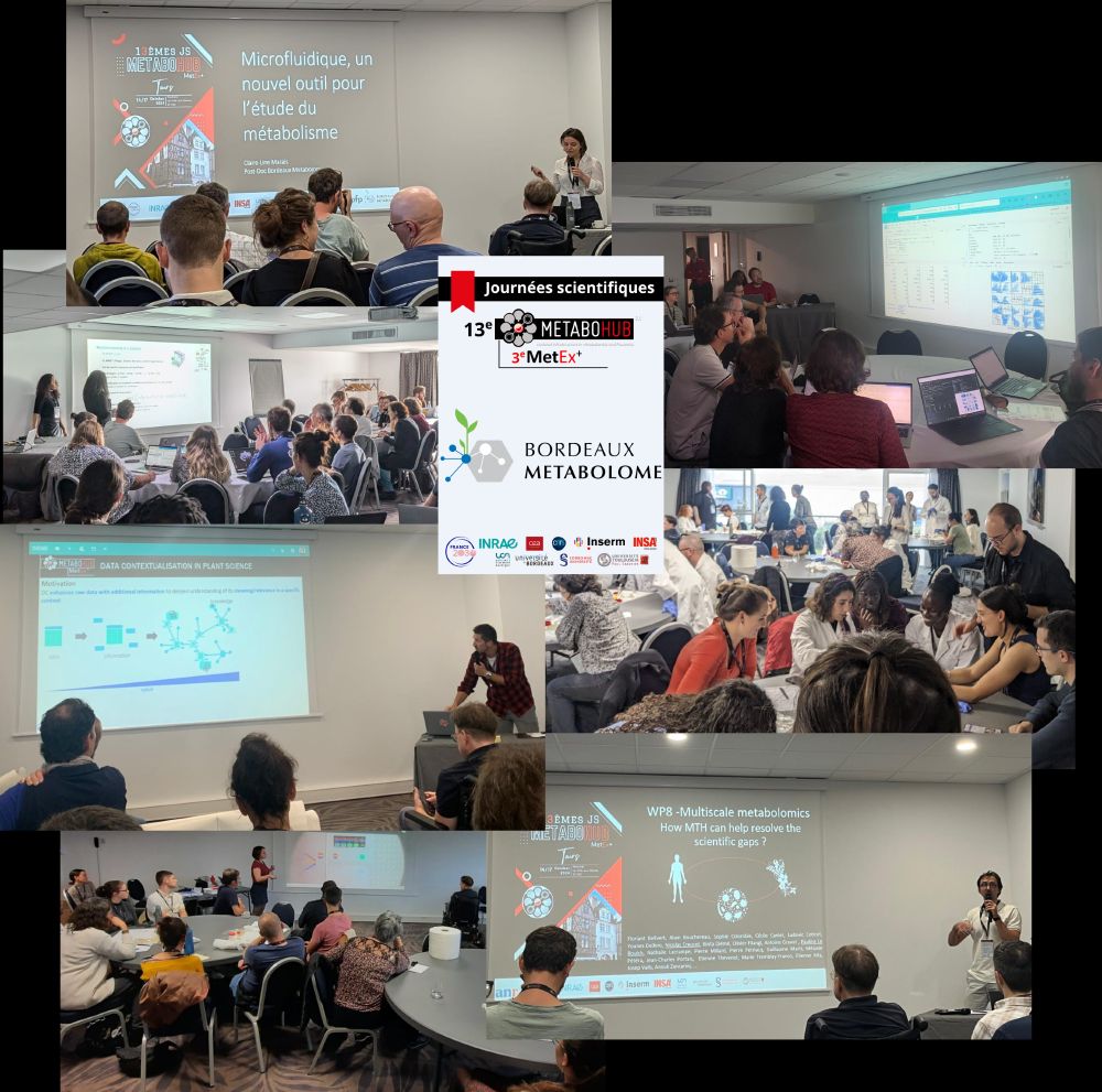 A photomontage displaying presentations about Microfluidics, Machine-learning, data contextualisation in plant science and multiscale metabolomics
