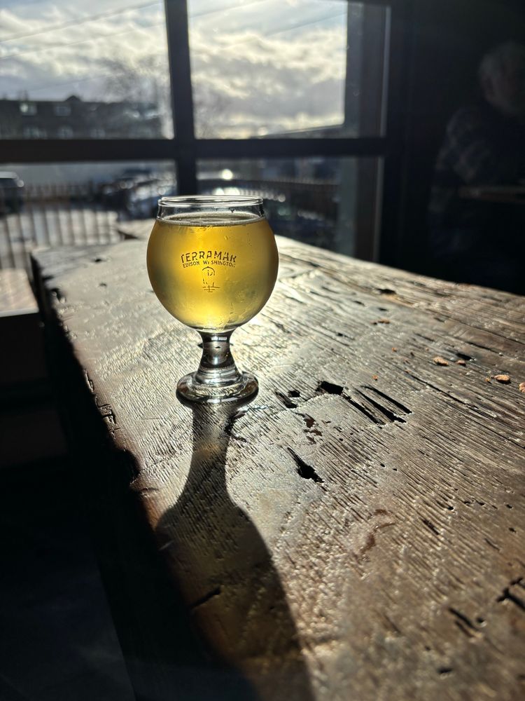 Sample glass of Terramar Brewstillery Octopus Garden Gose on a rustic wooden table backlit by sun through a window.