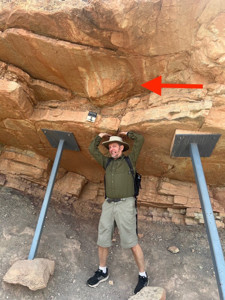 Me, wearing dark-green long-sleeve shirt, light green shorts, black shoes, and a broad-brimmed Tilley hat, seemingly holding up sedimentary strata above my head in an effort to preemptively save the natural cast of a sauropod dinosaur track in the Late Jurassic Morrison Formation, Dinosaur Ridge, Colorado (USA).