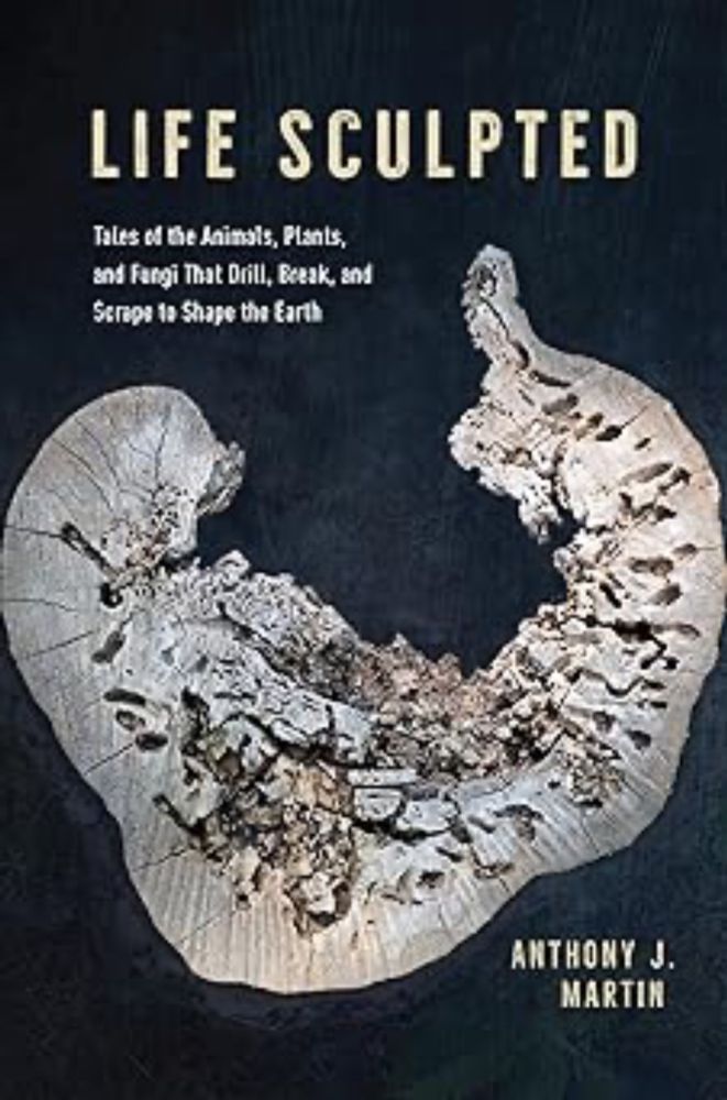 Life Sculpted: Tales of the Animals, Plants, and Fungi That Drill, Break, and Scrape to Shape the Earth , Martin, Anthony J. - Amazon.com